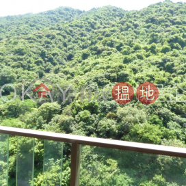 2房1廁,星級會所《傲翔灣畔出租單位》 | 傲翔灣畔 The Sail At Victoria _0