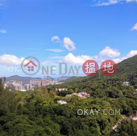 Unique 3 bedroom on high floor with rooftop & parking | Rental | Hillview Court Block 3 曉嵐閣3座 _0