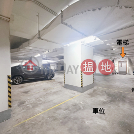 Car Park leasing with Tesla Charger, Royal Terrace 御皇臺 | Eastern District (BSIU-01)_0