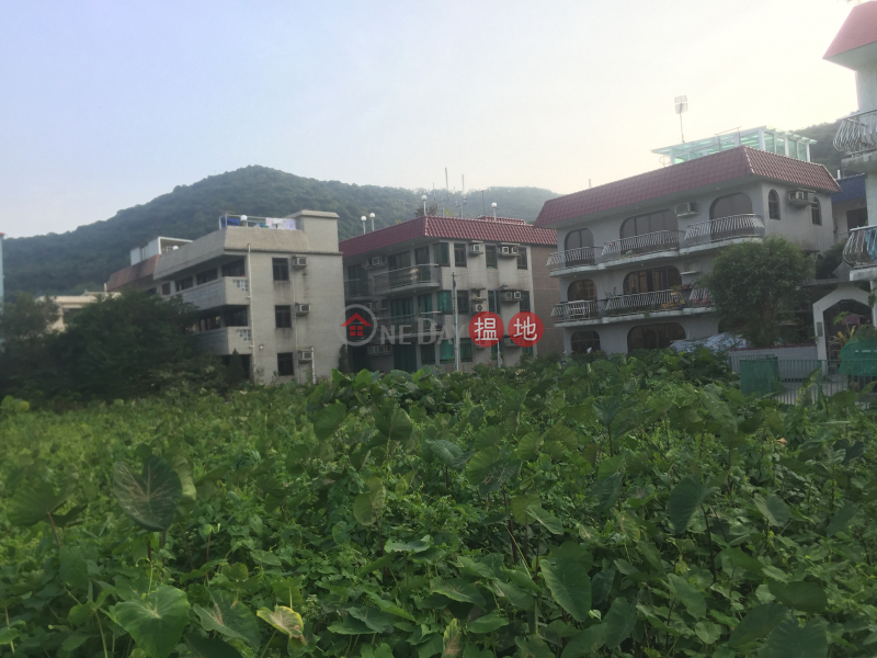 鹿地塘村屋 (Luk Tei Tong Village House) 梅窩|搵地(OneDay)(2)