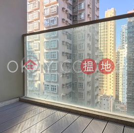 1房1廁,星級會所,露台星鑽出租單位 | 星鑽 The Nova _0