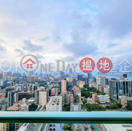 3房2廁,極高層,星級會所,露台港景峯3座出租單位 | 港景峯3座 Tower 3 The Victoria Towers _0