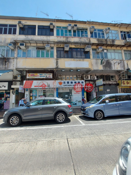 117 San Shing Avenue (新成路117號),Sheung Shui | ()(1)