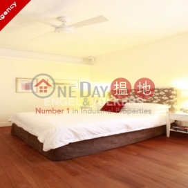 Luxurious Apartment in 49B-49C Robinson Road | 49B-49C Robinson Road 羅便臣道49B-49C號 _0
