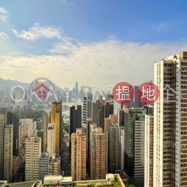 Popular 3 bed on high floor with harbour views | Rental | Block D Viking Villas 威景臺 D座 _0