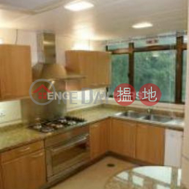 3 Bedroom Family Flat for Rent in Central Mid Levels | Fairlane Tower 寶雲山莊 _0