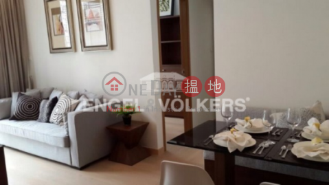 2 Bedroom Flat for Sale in Sheung Wan|Western DistrictSOHO 189(SOHO 189)Sales Listings (EVHK22367)_0