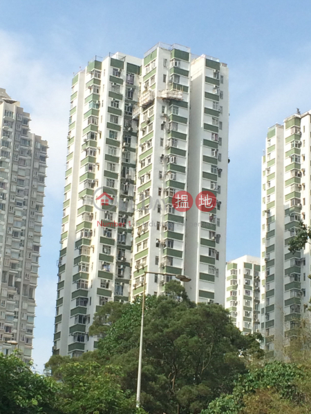 Nan Fung Sun Chuen Block 6 (南豐新邨6座),Quarry Bay | ()(1)