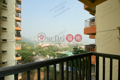 Hillgrove village with sea views and balcony | Discovery Bay, Phase 3 Hillgrove Village, Brilliance Court 愉景灣 3期 康慧台 康和閣 _0