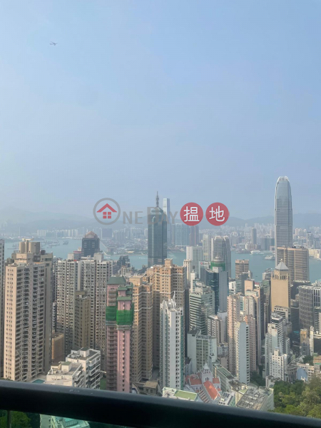 帝景園|中層|a單位|住宅-出售樓盤HK$ 1億
