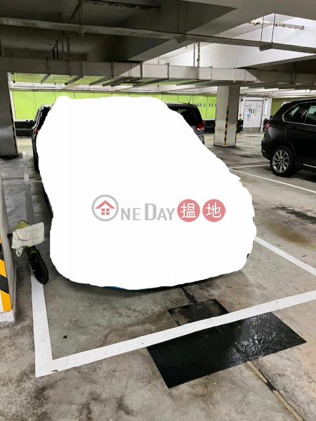 Maywood Carpark, Kingswood Villas, Tin Shui Wai. | Maywood Court Block 3 - Kingswood Villas Phase 6 嘉湖山莊 6期 美湖居 3座 Rental Listings
