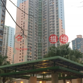 興東邨 興祖樓,西灣河, 香港島
