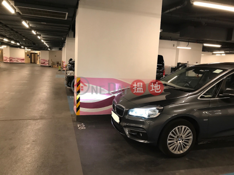 Kai Tak Victoria Skye Sided Parking Space for rent | Victoria Skye 天寰 _0