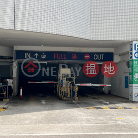 沙田第一城中心1樓48號大車位出租, 方便易泊, 無須佣金 | Block 29 Site 3 City One Shatin 沙田第一城29座 _0