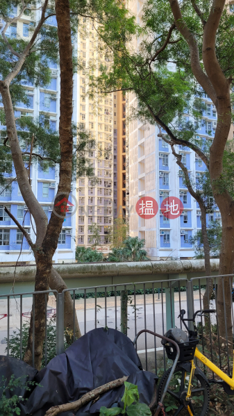 Choi Lau House (Block B) Choi Ming Court (彩明苑 彩柳閣 (B座)),Tseung Kwan O | ()(3)