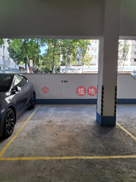 Treasure Garden parking space C86, Block B Treasure Garden 海寶花園 B座 Rental Listings | Tai Po District (SWPAH-2797534981)