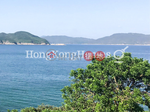 4 Bedroom Luxury Unit for Rent at 48 Sheung Sze Wan Village | 48 Sheung Sze Wan Village 相思灣村48號 _0