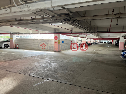 沙田第一城中心1樓48號大車位出租, 方便易泊, 無須佣金 | Block 29 Site 3 City One Shatin 沙田第一城29座 _0