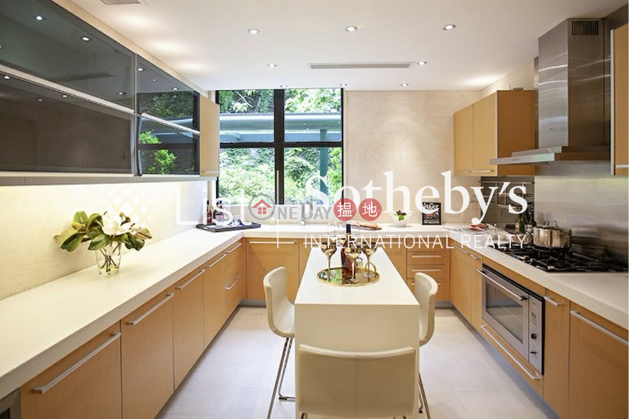 Property for Rent at 51-55 Deep Water Bay Road with more than 4 Bedrooms | 51-55 Deep Water Bay Road | Southern District, Hong Kong Rental | HK$ 290,000/ month
