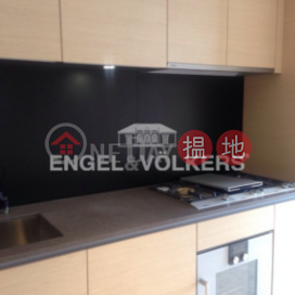 2 Bedroom Flat for Rent in Mid Levels West | Arezzo 瀚然 _0