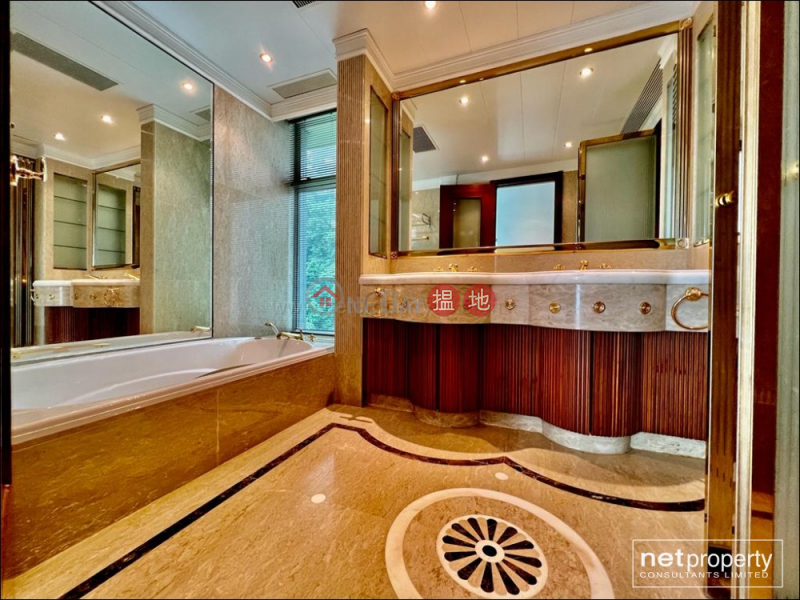 香港搵樓|租樓|二手盤|買樓| 搵地 | 住宅出租樓盤-Luxury Apartment - Regence Royale