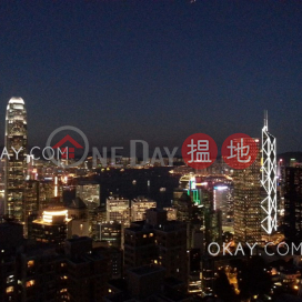 Tasteful penthouse with rooftop | Rental, Tycoon Court 麗豪閣 | Western District (OKAY-R61030)_0