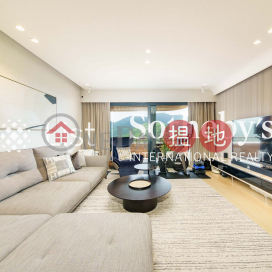 Property for Sale at Parkview Terrace Hong Kong Parkview with 3 Bedrooms | Parkview Terrace Hong Kong Parkview 陽明山莊 涵碧苑 _0