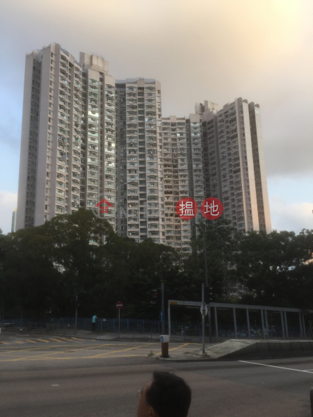 雪鳳樓 (5座) (Suet Fung House (Block 5) Fung Tak Estate) 鑽石山|搵地(OneDay)(3)