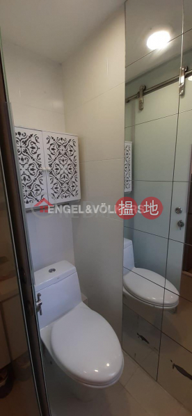 2 Bedroom Flat for Rent in Mid Levels West | 21 Robinson Road | Western District, Hong Kong, Rental HK$ 22,000/ month