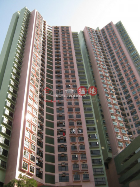 3 Bedroom Family Flat for Sale in Central Mid Levels | Blessings Garden 殷樺花園 Sales Listings