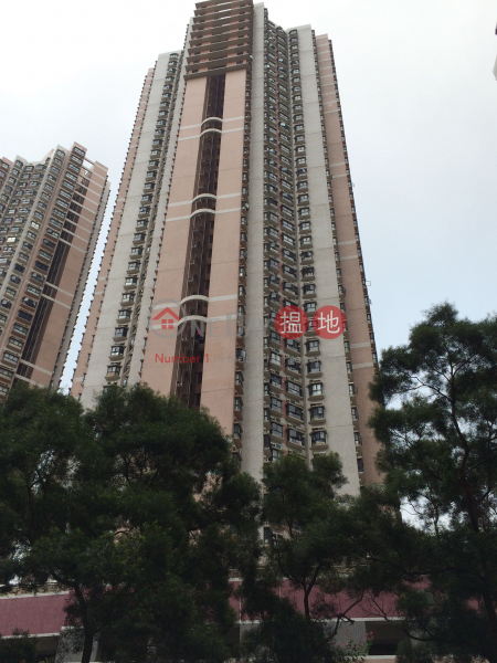 Park Belvedere Tower 3 (Park Belvedere Tower 3) Ma On Shan|搵地(OneDay)(2)