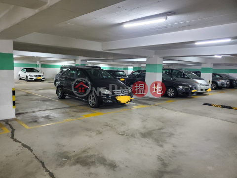 碧濤花園第一期下層車位出租, 碧濤花園2期 Phase 2 Pictorial Garden | 沙田 (LEUNG-3132336087)_0
