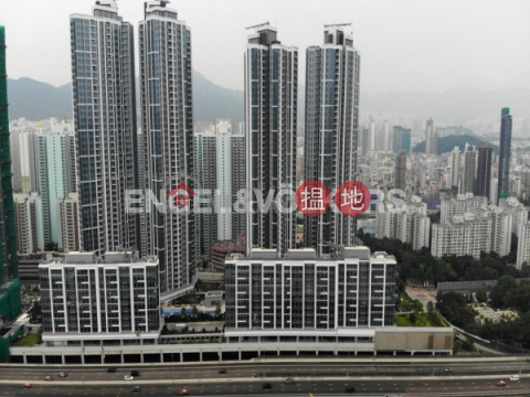 3 Bedroom Family Flat for Sale in West Kowloon | The Cullinan 天璽 _0