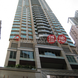 3 Bedroom Family Flat for Sale in Mid Levels West | No 31 Robinson Road 羅便臣道31號 _0