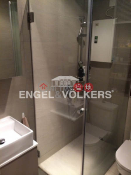 1 Bed Flat for Sale in Mid Levels West, 3 Chico Terrace 芝古臺3號 Sales Listings | Western District (EVHK45403)