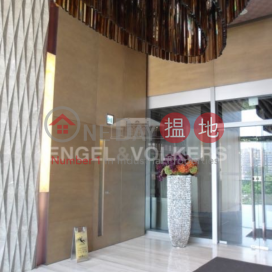 4 Bedroom Luxury Flat for Sale in Hung Hom | Chatham Gate 昇御門 _0