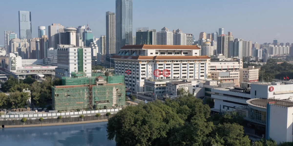 麗安花園 (Leon Court) 元朗| ()(2)
