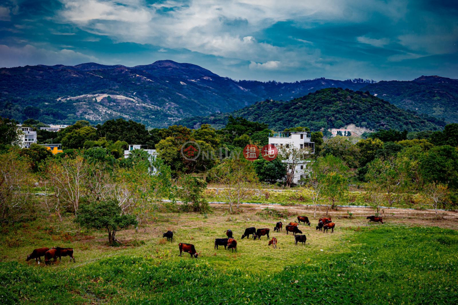 Luk Tei Tong Village House (Luk Tei Tong Village House) Mui Wo|搵地(OneDay)(1)