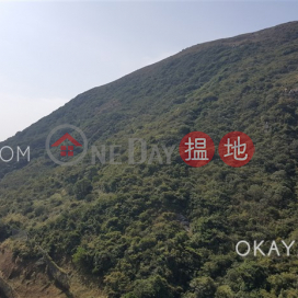 3房2廁,海景,星級會所,露台南灣出租單位|南灣(Larvotto)出租樓盤 (OKAY-R78075)_0