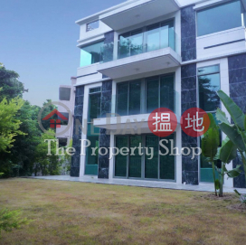 Convenient Detached Garden House, Tai Mong Tsai Tsuen 大網仔村 | Sai Kung (SK0261)_0