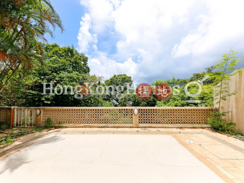 4 Bedroom Luxury Unit for Rent at Che Keng Tuk Village | Che Keng Tuk Village 輋徑篤村 _0