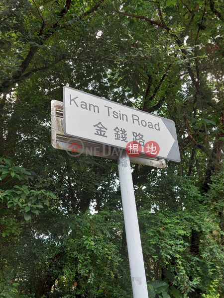 Kam Tsin Road