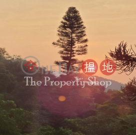 2/F + Roof - Very Competitively Priced, 清水灣道204號 204 Clear Water Bay Road | 西貢 (CWB2677)_0