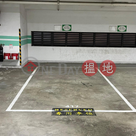 Cosco Carpark Spacing No.417