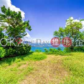 Rare house with sea views, rooftop & balcony | Rental | Redhill Peninsula Phase 3 紅山半島 第3期 _0