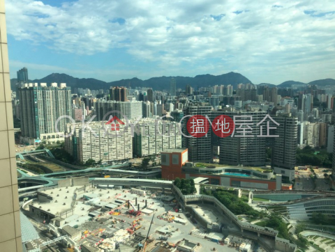 Luxurious 1 bedroom in Kowloon Station | Rental | The Arch Moon Tower (Tower 2A) 凱旋門映月閣(2A座) _0