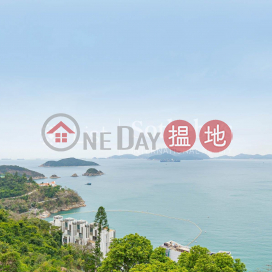 Property for Sale at 110 Repulse Bay Road with 4 Bedrooms | 110 Repulse Bay Road 淺水灣道110號 _0