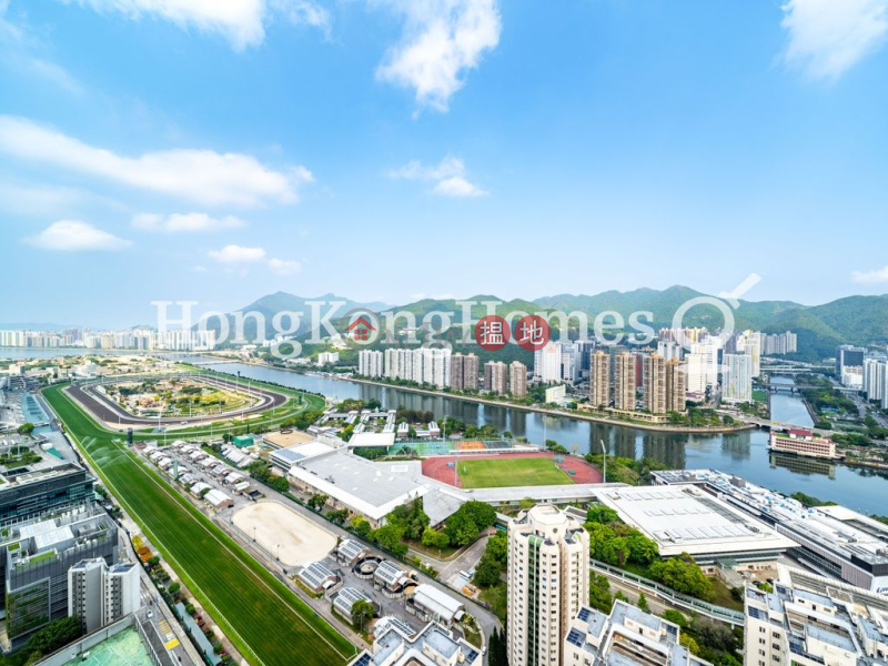 Property Search Hong Kong | OneDay | Residential, Rental Listings 4 Bedroom Luxury Unit for Rent at The Palazzo Block 2
