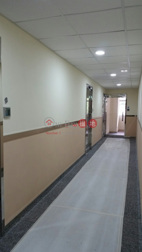 建華工業大廈, 建華工業大廈 Kinwah Factory Building | 葵青 (jingd-04531)_0