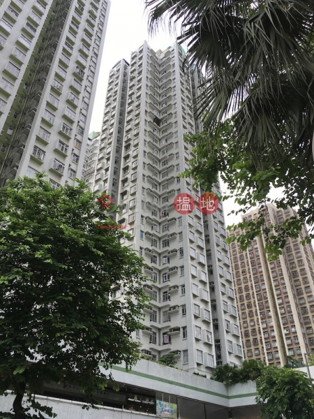 Wing Cheong Court Block 3 Fortune Plaza (Wing Cheong Court Block 3 Fortune Plaza) Tai Po|搵地(OneDay)(1)